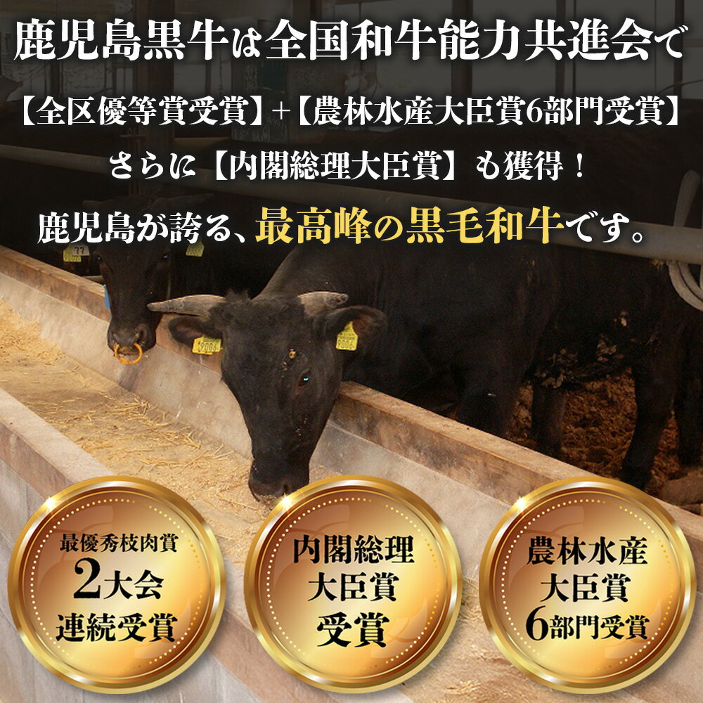 鹿児島県南大隅町の画像3