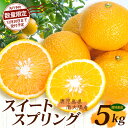 【ふるさと納税】【数量限定】鹿児島県南大隅産スイートスプリング 5kg 【2025年12月下旬より順次発送】|柑橘 くだもの 果物 フルーツ スイートスプリング...