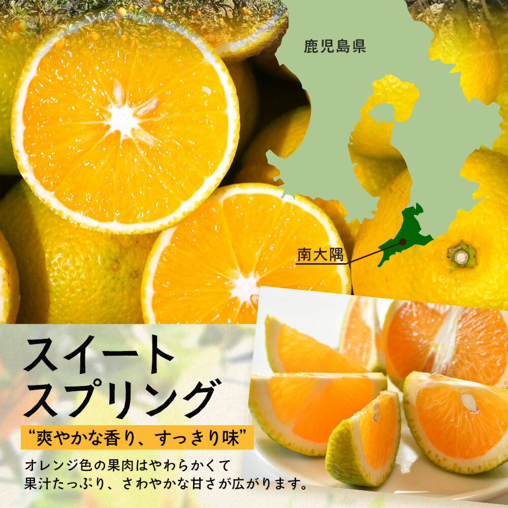 鹿児島県南大隅町の画像3