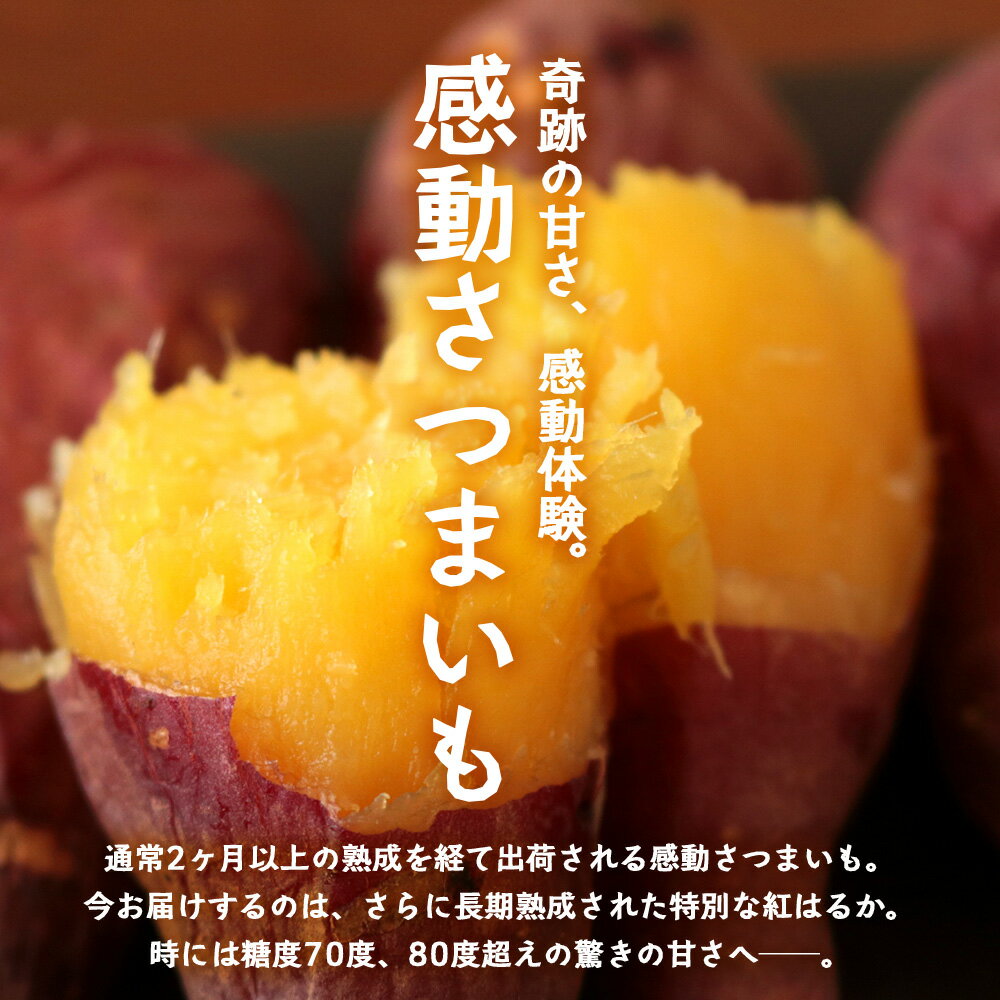 鹿児島県南大隅町の画像2