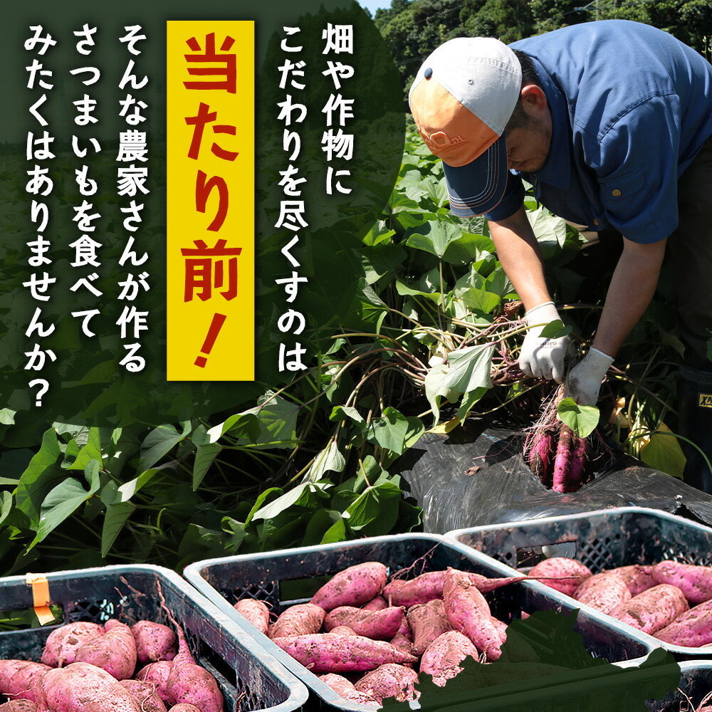 鹿児島県南大隅町の画像3