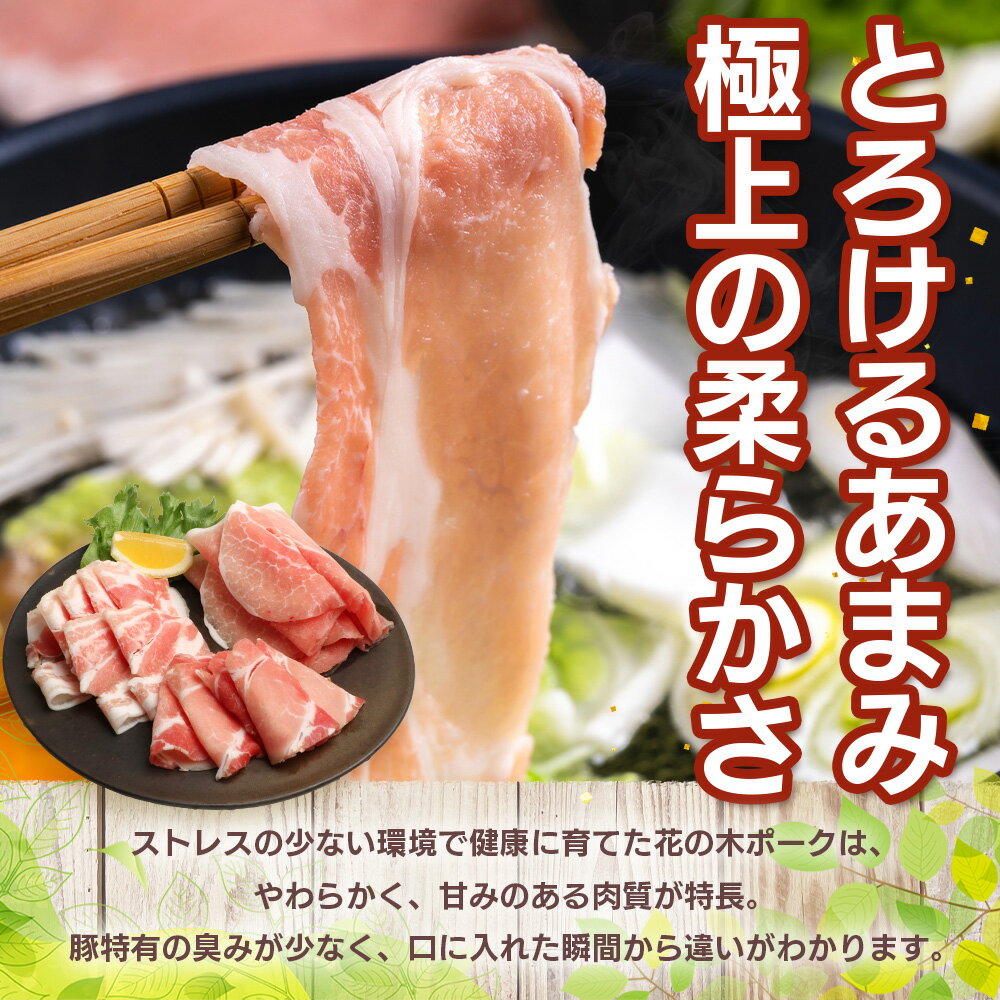 鹿児島県南大隅町の画像2