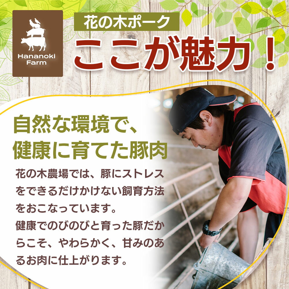 鹿児島県南大隅町の画像3