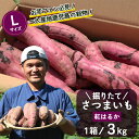 【ふるさと納税】熟成 紅はるか 3kg ( 1箱 ) Lサイズ さつまいも 鹿児島県産【2025年9月中旬より順次発送】FR-215