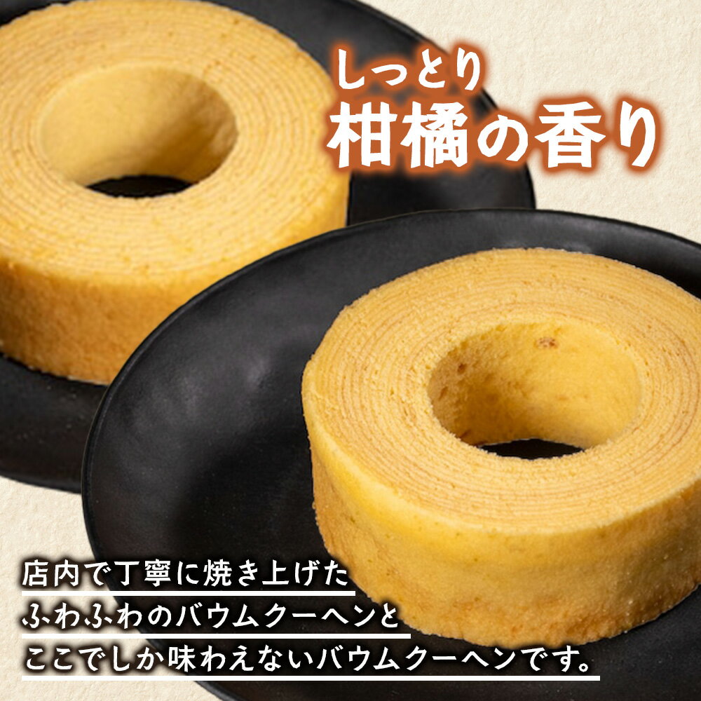 鹿児島県南大隅町の画像2