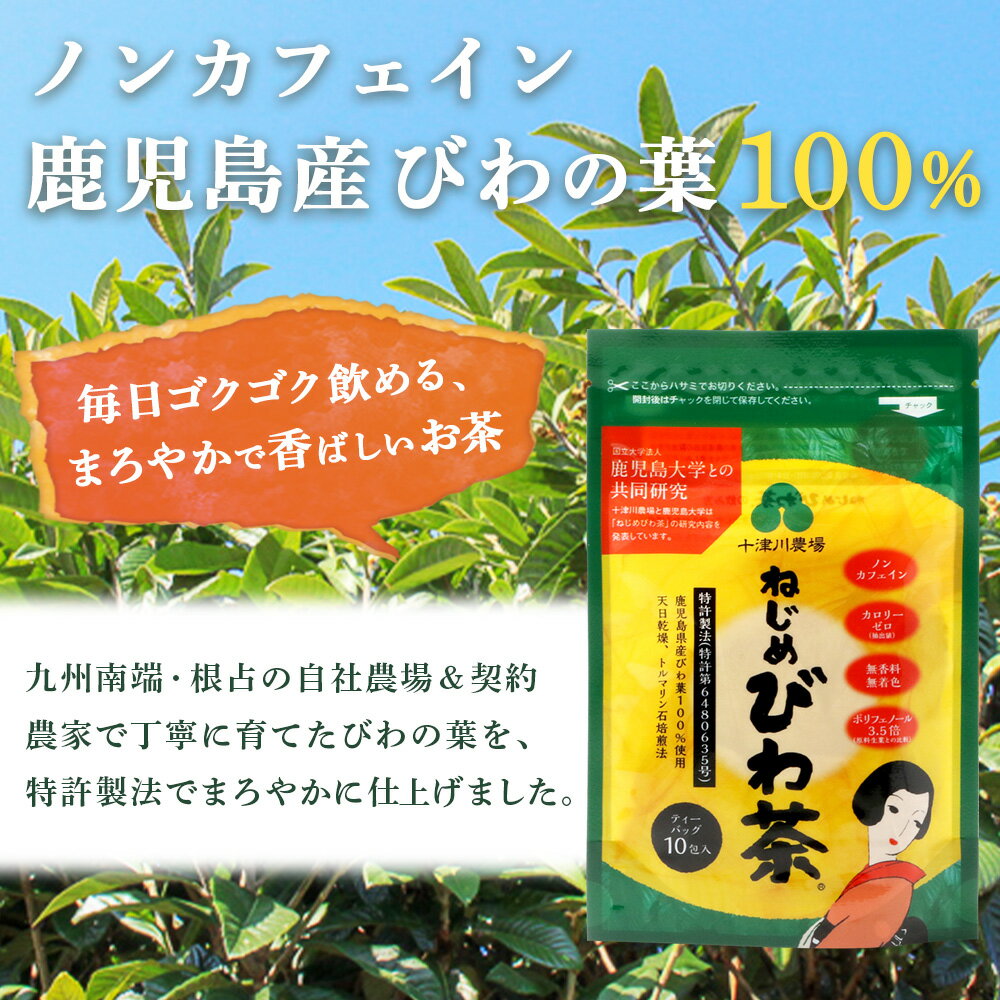 鹿児島県南大隅町の画像2