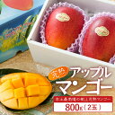 【ふるさと納税】≪先行予約・数量限定≫ ☆本土最南端☆佐多の果樹園で育てた 完熟アップルマンゴー 800g ( 2玉 ) 【2026年7月上旬以降順次発送】|鹿児島県 南大隅 産地直送 旬 マンゴー フルーツ 果物 くだもの V7406