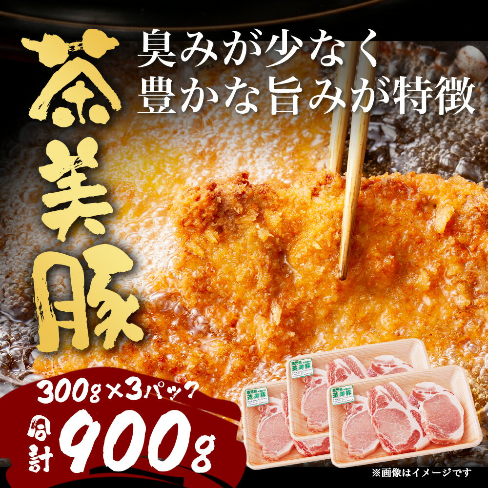 鹿児島県南大隅町の画像3