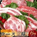 【ふるさと納税】鹿児島県産 ひかり麦豚 ロース三昧セット6種類 (200g×6パック)計1.2kg トレーなし 冷凍 HM-12 | 精肉 肉 お肉 にく 豚肉 ロース肉 ロース 肩ロース 真空冷凍 新鮮 小分け 産地直送 鹿児島県 南大隅町 ひかり麦豚直売所