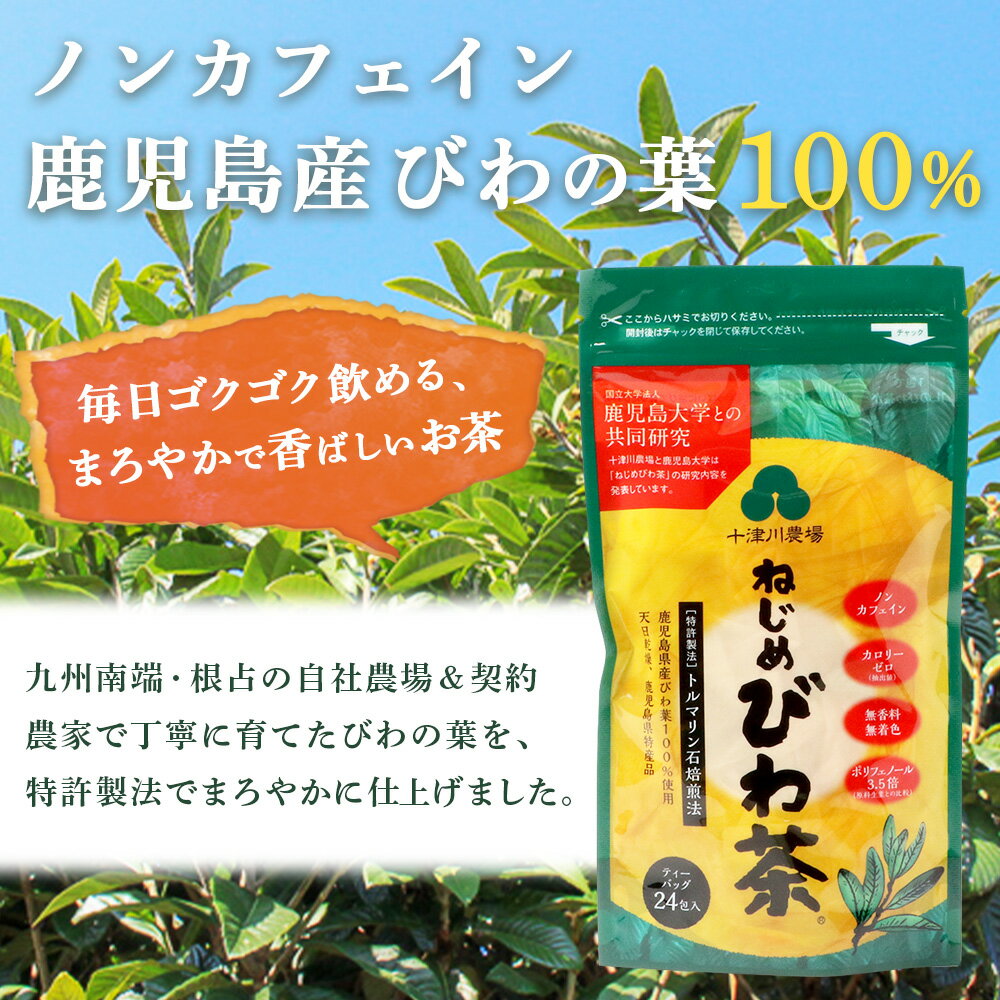 鹿児島県南大隅町の画像2