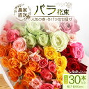 【ふるさと納税】【先行予約】【人気の春・冬薔薇をお届け】ばら農家直送!バラ花束30本以上お届け(色はおまかせ) 【ギフト対応可】TB-16│ローズ 新鮮 花 フラワー 花束 ばら 薔薇 バラ 誕生日 記念日 結婚祝い ギフト プレゼント お祝い 贈り物 贈答 鹿児島県 南大隅町