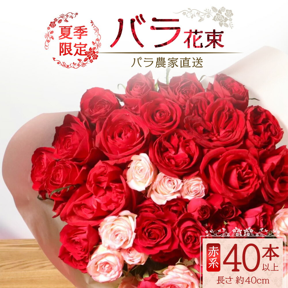 【ふるさと納税】【先行予約・夏季限定 薔薇】ばら農家直送！バラ花束40本以上お届け(赤系) 【ギフト対応可】TB-5│ローズ 新鮮 花 フラワー 花束 ばら 薔薇 バラ 誕生日 記念日 結婚祝い ギフト プレゼント お祝い 贈り物 贈答 鹿児島県 南大隅町 富田バラ園