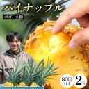 【ふるさと納税】【先行受付】パイナップル/ボゴール種 (約800g×2玉) ≪2026年7月下旬以降順次発送≫ DS-004 |パイン パイナップル パインアップル フルーツ ボゴールパイン スナックパイン 産地直送 送料無料 鹿児島県 南大隅町 株式会社デラセーラ