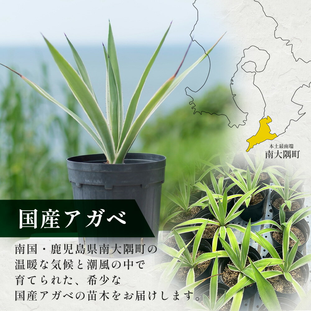 鹿児島県南大隅町の画像2