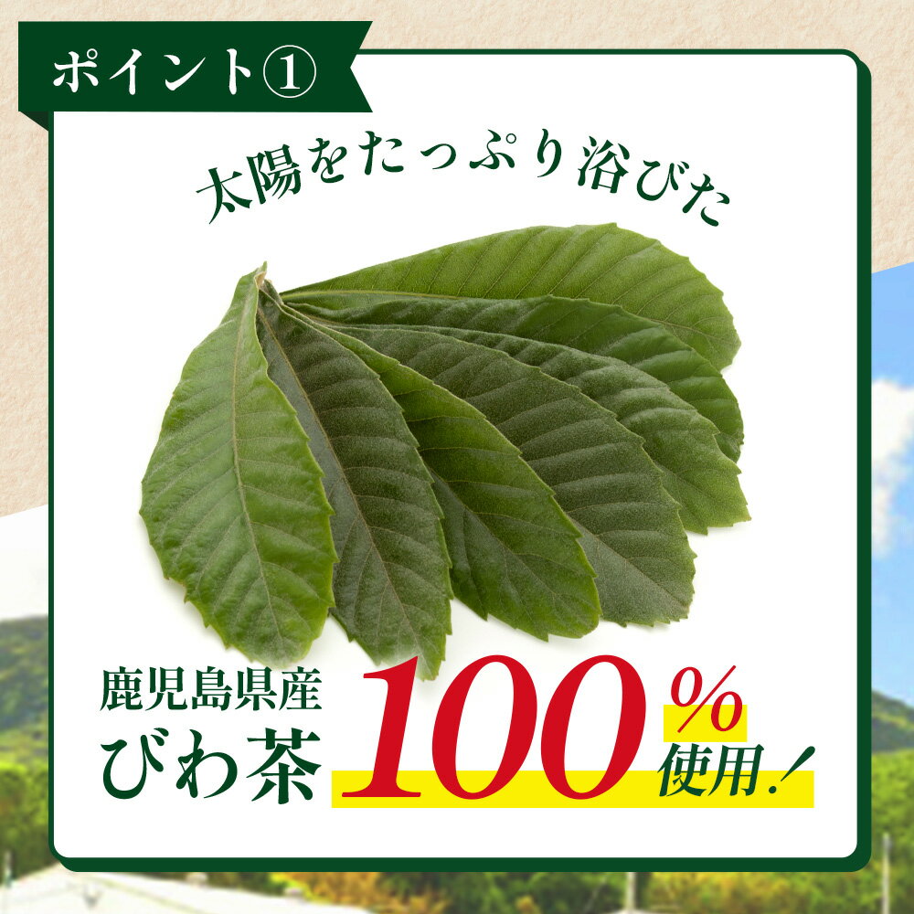 鹿児島県南大隅町の画像3