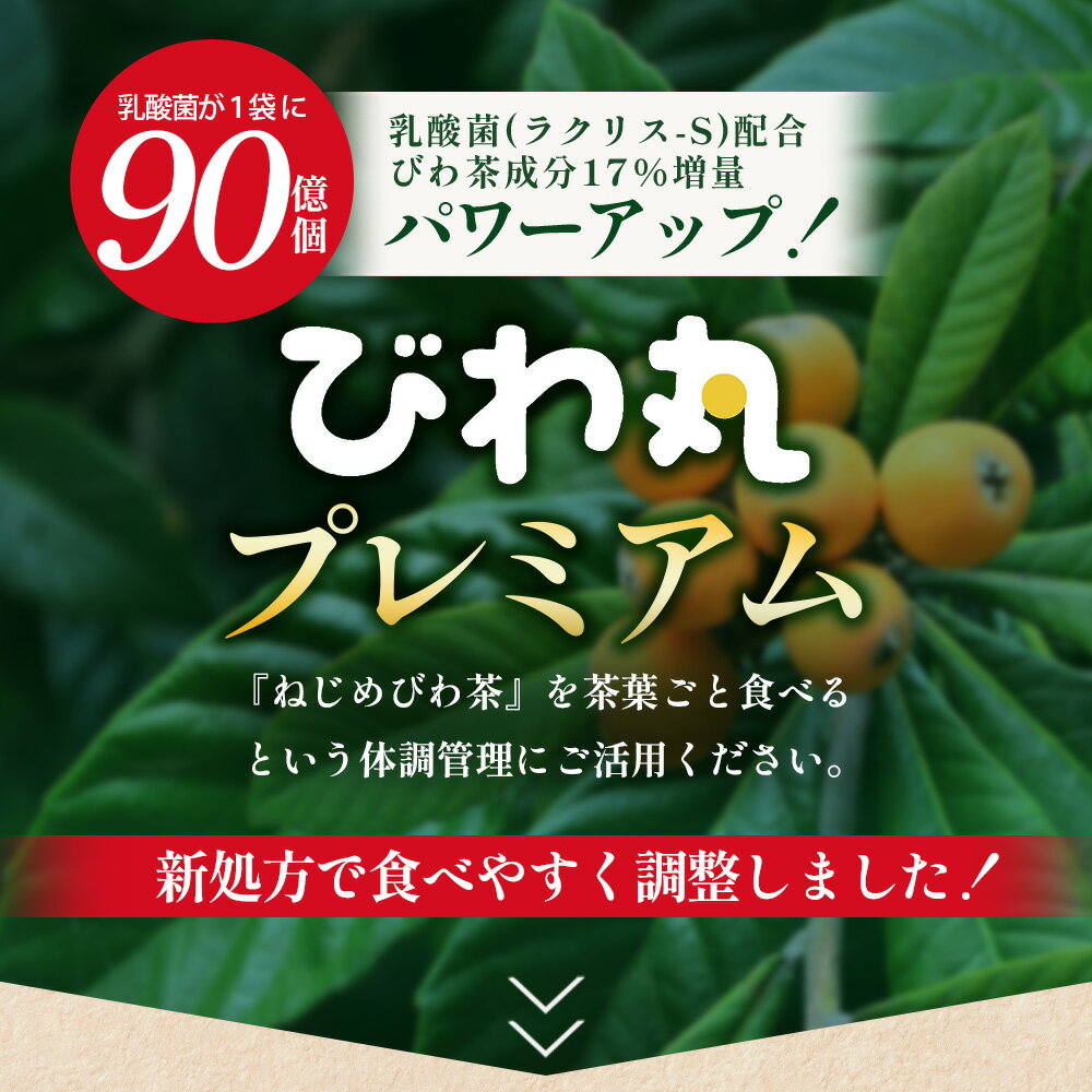 【ふるさと納税】【定期便 全12回】≪12ヶ月連続で毎月お届け≫ びわ丸プレミアム ≪1回あたり(360粒入×1袋) ≫ 健康補助食品 びわ茶含有加工食品 TO-15-NP| 国産 びわ茶 びわの葉 サプリメント 乳酸菌 ノンカフェイン ポリフェノール ネコポス 鹿児島県 南大隅町 十津川