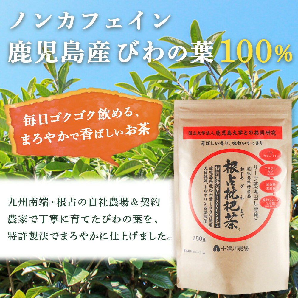 鹿児島県南大隅町の画像2