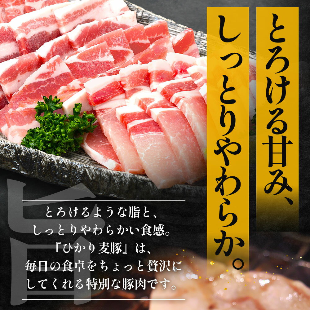 【ふるさと納税】【定期便全3回】ひかり麦豚 わんぱく定期便 ≪月替わりで焼肉・ハンバーグ・餃子をお届け！≫ 冷凍 HM-10 | 肉 お肉 にく 豚肉 焼き肉 ロース肉 肩ロース バラ肉 ハンバーグ ギョウザ ぎょうざ 真空冷凍 産地直送 小分け パック 手作り 鹿児島県 南大隅町
