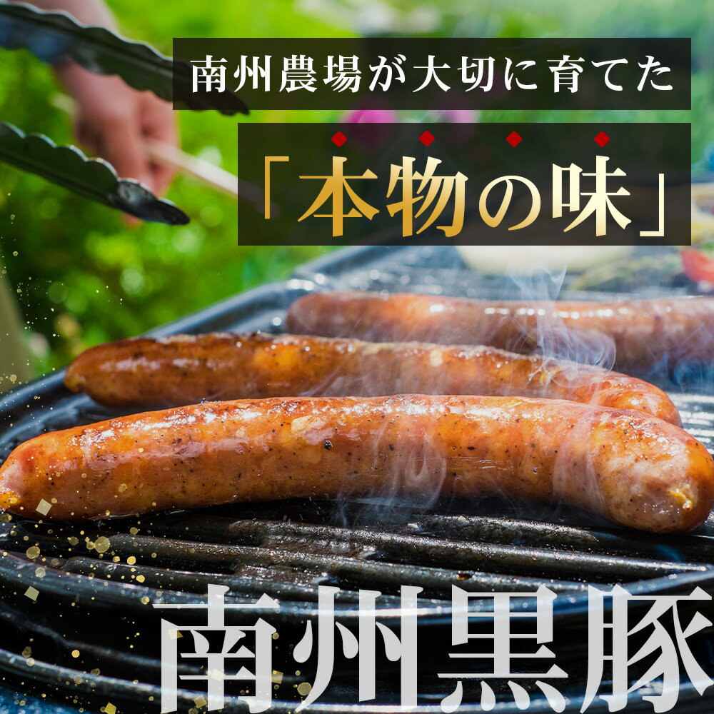 鹿児島県南大隅町の画像2