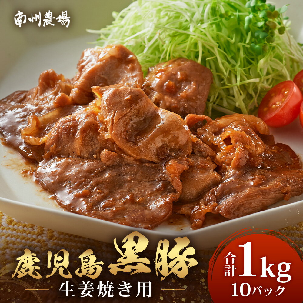 【ふるさと納税】鹿児島県産 黒豚生姜焼きセット 100g×10パック 味付き肉 冷凍 NS-23 | 鹿児島 黒豚 かごしま黒豚 お肉 肉 豚肉 しょうが焼き 焼くだけ 味付き おかず お弁当 加工肉 真空パック 鹿児島県 南大隅町 南州農場