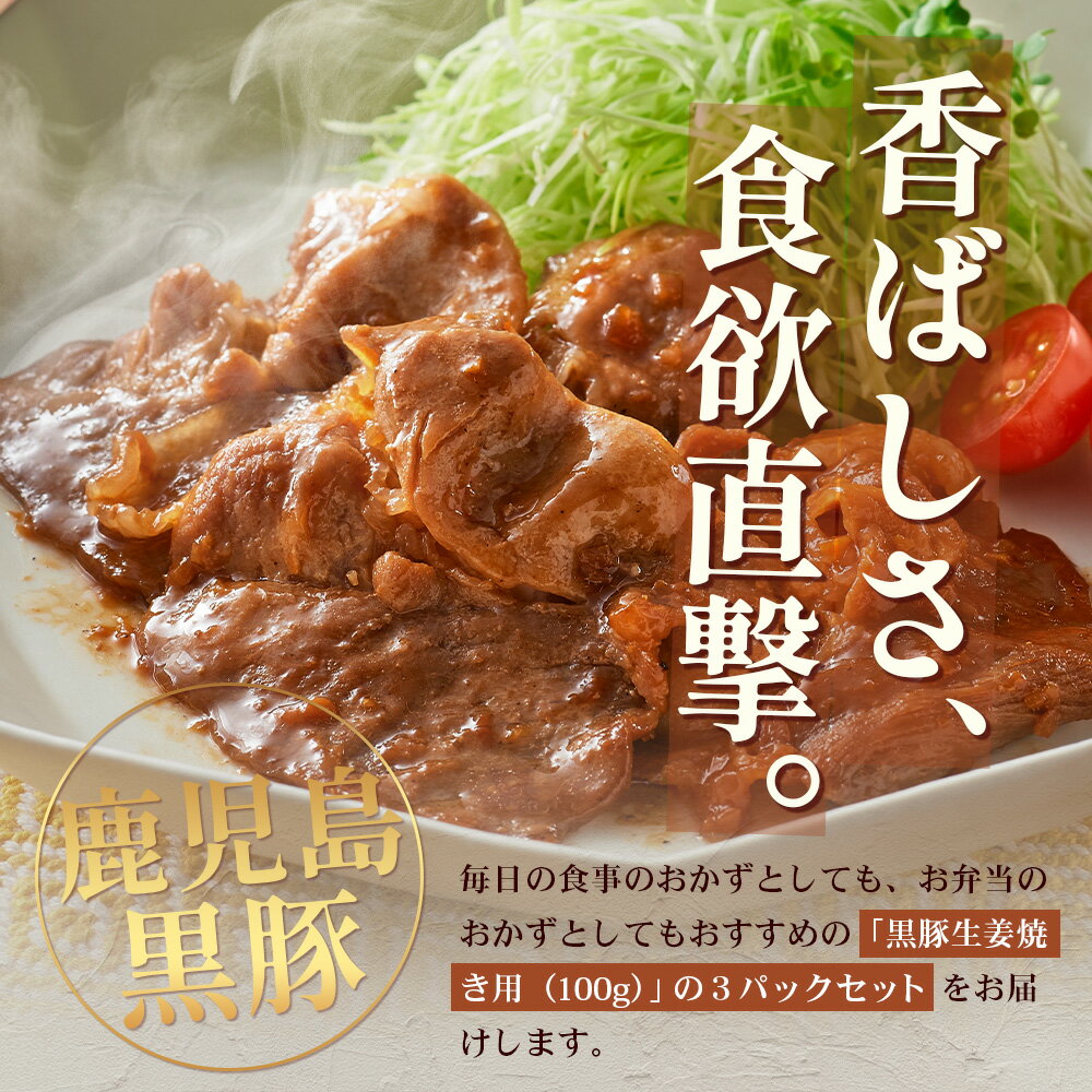 鹿児島県南大隅町の画像2