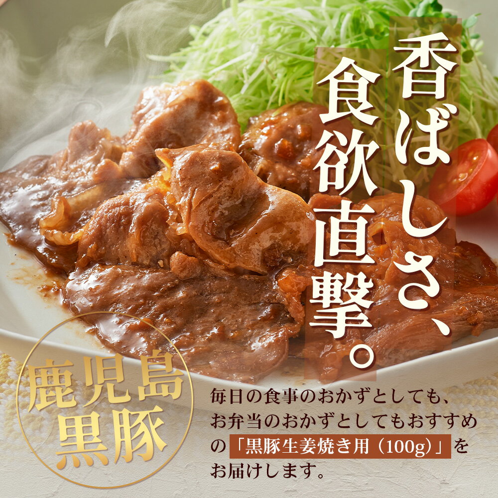 【ふるさと納税】鹿児島県産 黒豚生姜焼き　選べる内容量（100g～1kg） 味付き肉 冷凍 | 鹿児島 黒豚 かごしま黒豚 お味見 お試し お一人様用 お肉 肉 豚肉 しょうが焼き 焼くだけ 味付き おかず お弁当 加工肉 真空パック 鹿児島県 南大隅町 南州農場