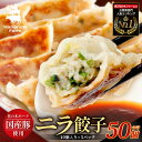 【ふるさと納税】花の木農場【ニラ餃子】50個 HK-502|ぎょうざ 冷凍餃子 冷凍 工場直送 簡単調理 国産 厳選 ノウフク 鹿児島県 南大隅町 第2花の木ファーム