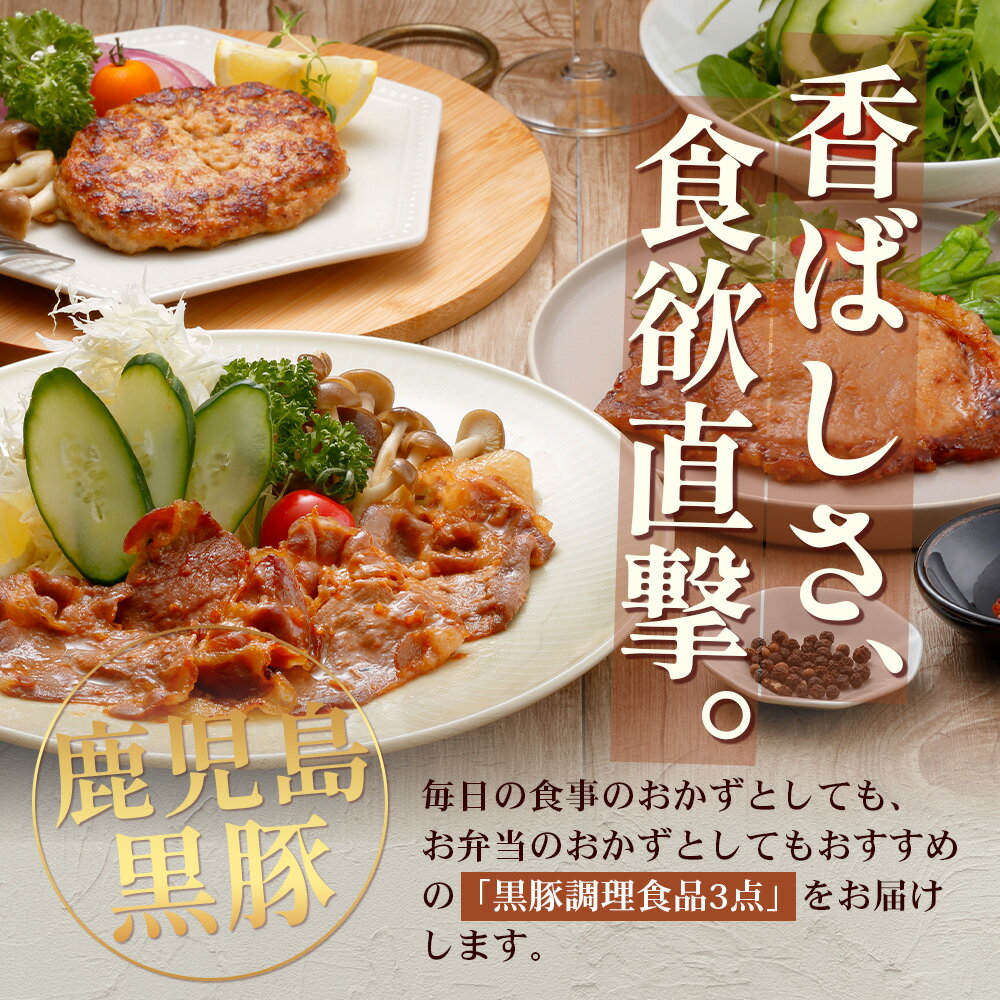 鹿児島県南大隅町の画像2