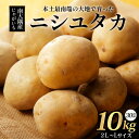 【ふるさと納税】【先行予約】じゃがいも 馬鈴薯 (バレイショ) ≪2L~L≫ 約10kg×1箱 /ニシユタカ (約30個) ≪ 2026年3月20日頃より順次発送≫ CS-1|産地直送 旬 ジャガイモ 芋 ポテト ばれいしょ 新じゃが 春じゃが 春作 鹿児島県 南大隅町 地域商社推進機構