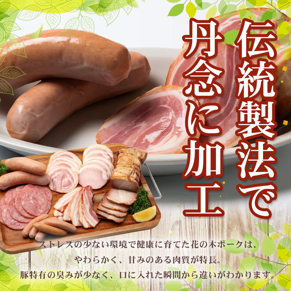 【ふるさと納税】《全3回定期便》2ヶ月に1回お届け 花の木農場【ハム詰め合わせセット】7種 計1,000g HK-18│定期便 ハム ベーコン クラフトハム 人気 南大隅町 第2花の木ファーム ノウフク ソーセージ 詰め合わせ セット ウインナー 国産 厳選