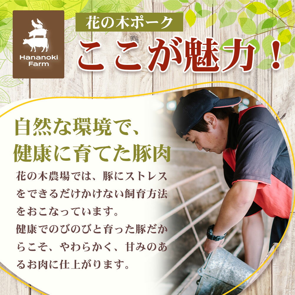 鹿児島県南大隅町の画像3