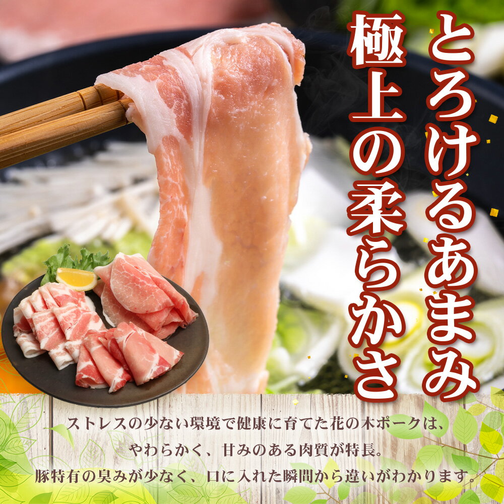 鹿児島県南大隅町の画像2