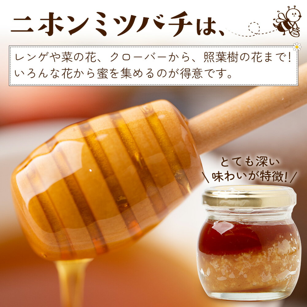 鹿児島県南大隅町の画像3