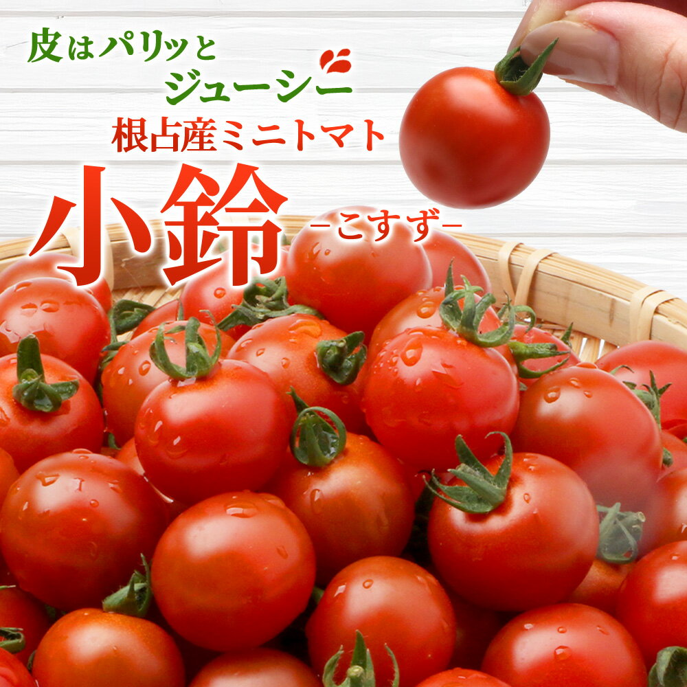 鹿児島県南大隅町の画像2