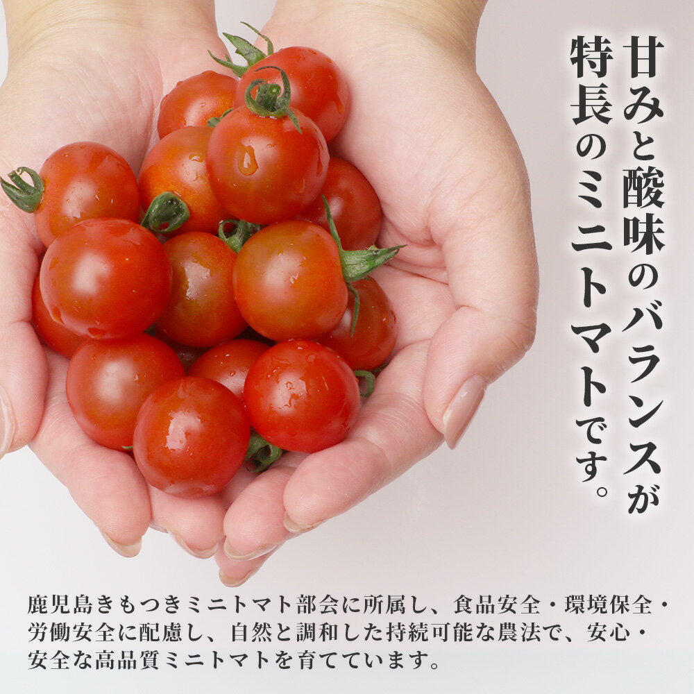 鹿児島県南大隅町の画像3