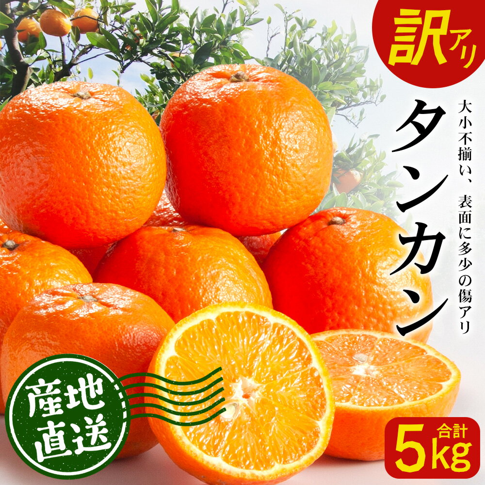 [訳あり][先行予約]南大隅の太陽浴びた甘くて・おいしい タンカン 約5kg[数量限定]2026年2月中旬以降順次発送 ID-3|訳あり 訳アリ たんかん タンカン 柑橘 カンキツ 柑橘類 詰め合わせ 産地直送 先行予約 おすすめ 人気 南大隅町