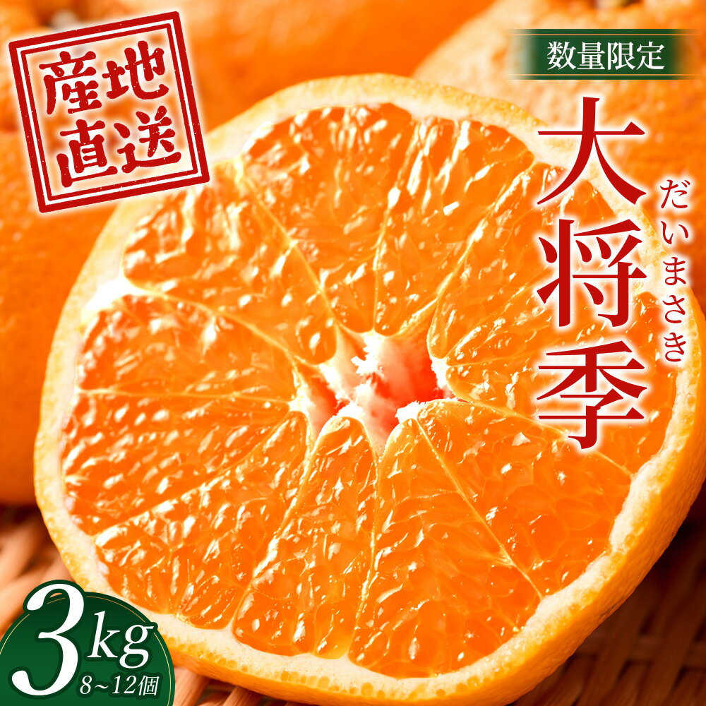 22位! 口コミ数「0件」評価「0」数量限定【先行予約・2025年12月～配送】大将季 約3kg (8～12個) NT-504｜だいまさき 柑橘 みかん 果物 新鮮 産地直送 数量限定 先行予約 国産 鹿児島県 南大隅町