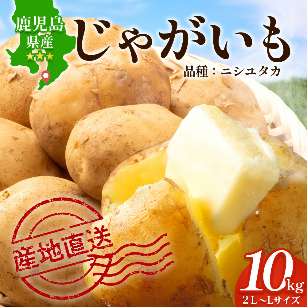【ふるさと納税】【先行予約】じゃがいも 馬鈴薯 (バレイショ) ≪2L～L≫ 約10kg×1箱 /ニシユタカ (約30個) ≪ 2026年3月20日頃より順次発送≫ CS-1｜産地直送 旬 ジャガイモ 芋 ポテト ばれいしょ 新じゃが 春じゃが 春作 鹿児島県 南大隅町 地域商社推進機構