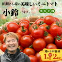 【ふるさと納税】【先行予約】田淵さんちの美味しい ミニトマト 小鈴(1kg or 2kg)|鹿児島県 南大隅 産地直送 旬 とまと ミニトマト 野菜 やさい 送...