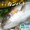 【ふるさと納税】内容量が選べる カンパチ 1尾 3.6~4.0kg/ロイン 1尾 or 片身/フィレ 1尾 or 片身 配送日指定可能