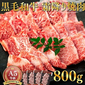 【ふるさと納税】黒毛和牛【A5等級】霜降り焼肉800g | ふるさと 納税 支援 鹿児島県 南大隅町 鹿児島 お土産 お取り寄せ ご当地 肉 牛肉 国産牛肉 和牛 焼肉 焼肉用 焼き肉 お肉 国産 高級肉 牛カルビ 霜降り肉 ブランド牛 国産和牛 お取り寄せグルメ 取り寄せ ご当地グルメ