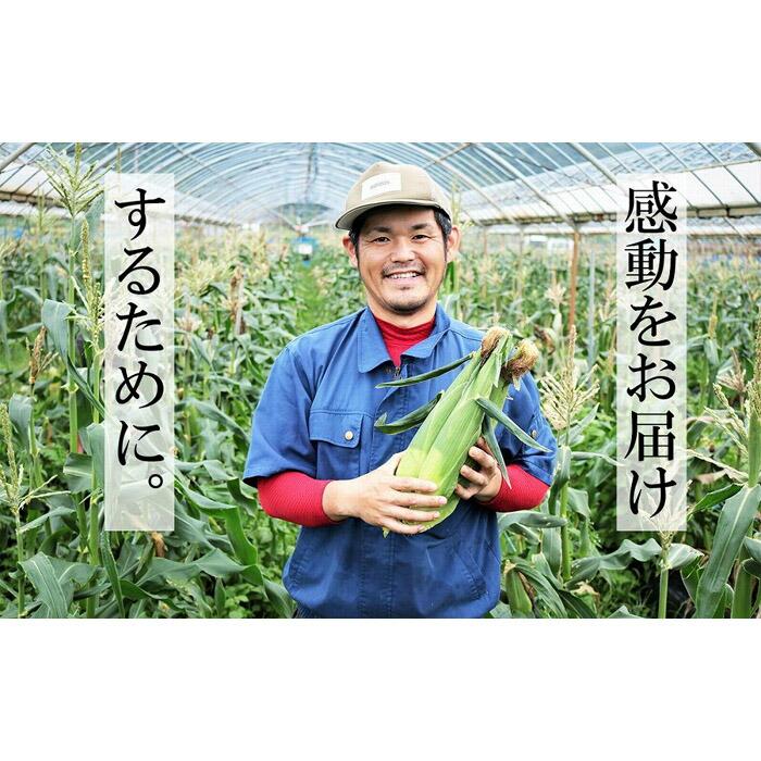 【ふるさと納税】感動とうもろこし ( 約4kg / 10～13本 ) 数量限定 鹿児島産 ゴールドラッシュ ★2024年5月中旬以降発送★ | 野菜 やさい コーン 国産 期間限定 2024年5月中旬以降発送