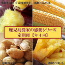 12位! 口コミ数「0件」評価「0」定期便 年4回 農家の感動シリーズB ( 冷凍焼き芋 ゴールドラッシュ 塩茹で落花生 紅はるか )