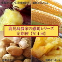 【ふるさと納税】定期便 年4回 農家の感動シリーズA ( 冷凍焼き芋 ゴールドラッシュ 塩茹で落花生 紅はるか )(4)