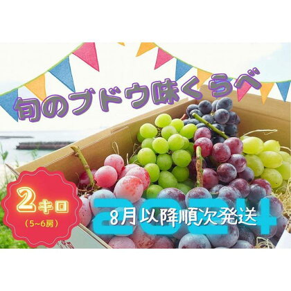 2024年8月発送先行予約【本土最南端ぶどう】旬のブドウ味くらべ2キロ | フルーツ 果物 くだもの 食品 人気 おすすめ 送料無料