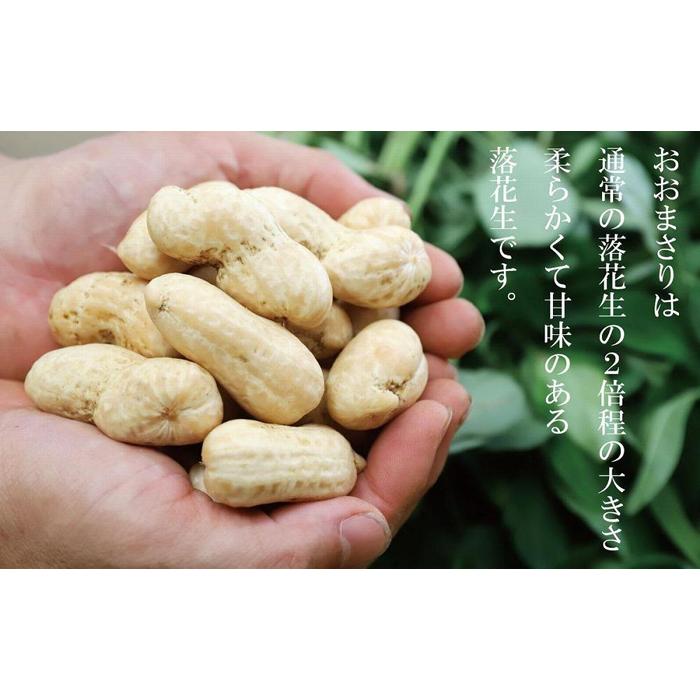 【ふるさと納税】食べ応え抜群の大粒落花生「おおまさり」500g袋×3袋≪数量限定≫★7月中旬より順次発送★鹿児島県産 | 野菜 やさい 食品 人気 おすすめ 送料無料