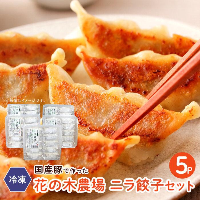 【ふるさと納税】ニラ餃子 50個 ( 10個入り × 5パック ) | 餃子 冷凍餃子 豚肉 ニラ お惣菜 お弁当 おやつ おつまみ 冷凍 花の木農場 国産 鹿児島