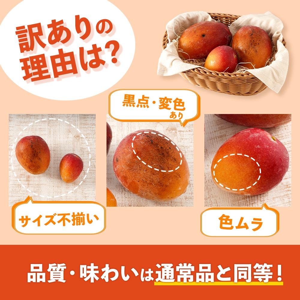 【ふるさと納税】鹿児島県産＜訳あり＞丸ごと冷凍完熟マンゴー　1.5kg