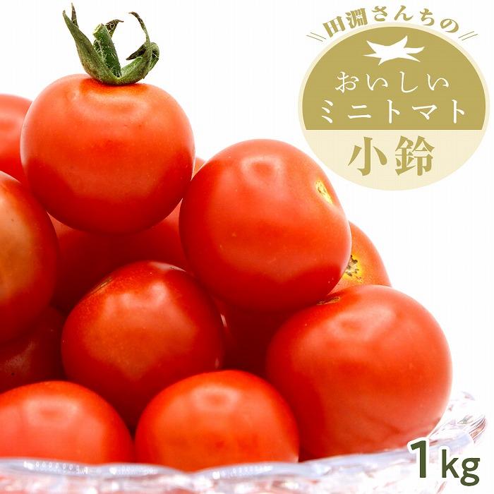 【ふるさと納税】ミニトマト 小鈴 南大隅町産 1.0kg（ 1箱 ） | トマト 野菜 やさい 食品 新鮮 人気 おすすめ 美味しい 送料無料