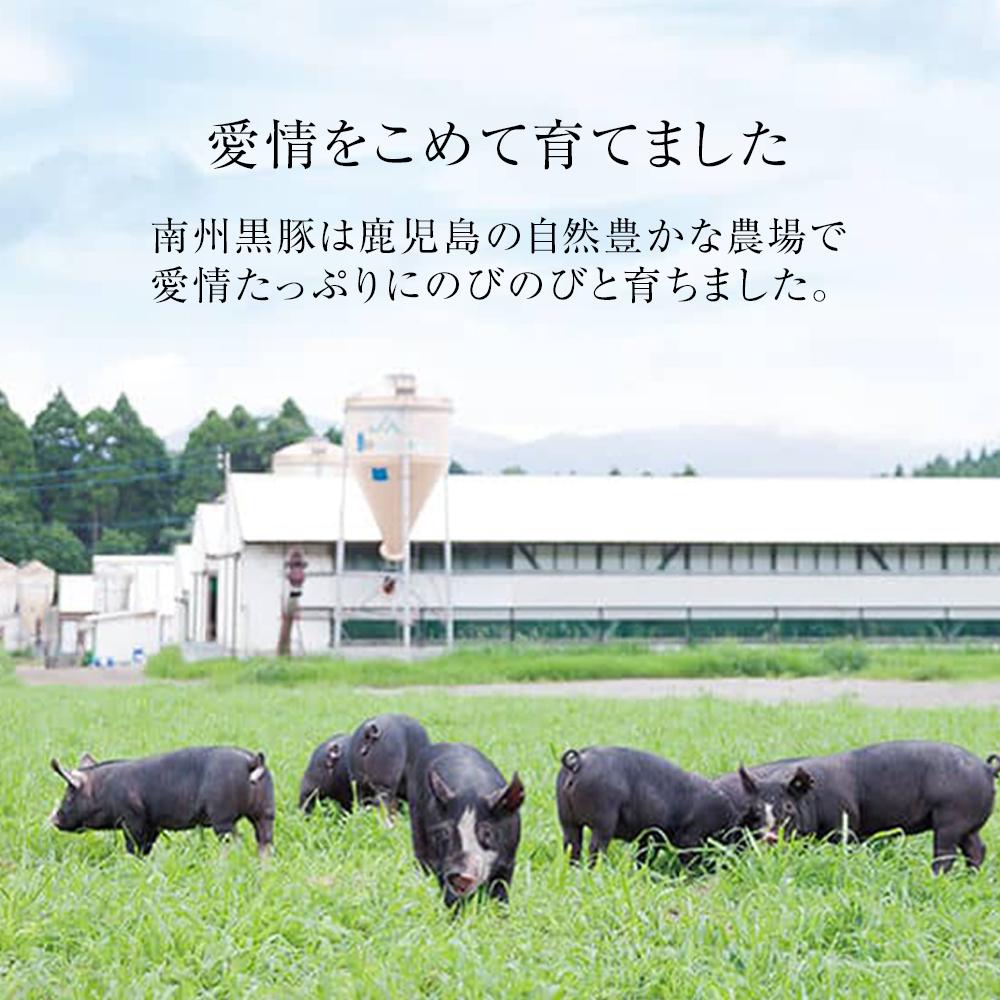 【ふるさと納税】鹿児島 黒豚 豚肉 ロース 味噌漬け 300g ( 100g×3 ) ＆ しゃぶしゃぶ 400g ( ロース 200g×1 バラ肉 200g×1 ) 詰合せ 合計700g | 豚 肉 ぶた ぶたにく 南州農場 味噌漬